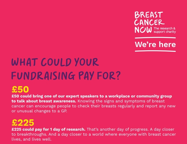 Fundraising Graphic Poster 2