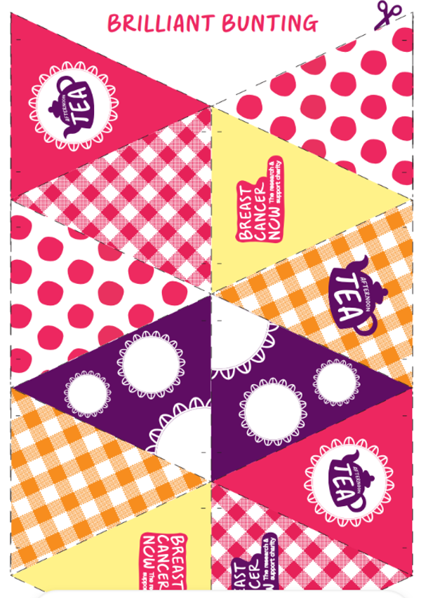 Brilliant bunting 1 image